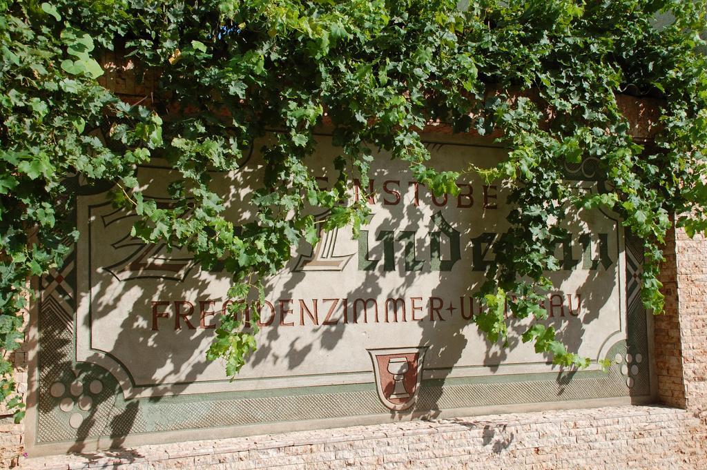 Zur Lindenau Hotel Ruedesheim am Rhein Exterior photo